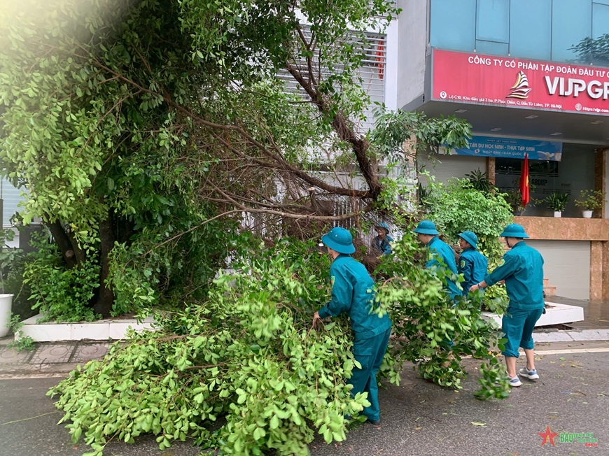View - 	Hà Nội tập trung dọn dẹp cây xanh ngã đổ, khai thông tuyến phố